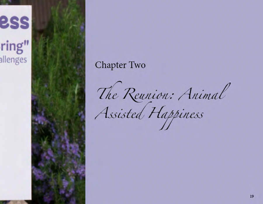 Book by Catherine Halliday